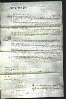 Court of Common Pleas - Georgina Harriett Adelaide Brett-Original Ancestry