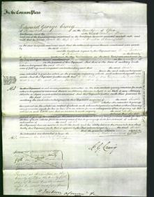 Court of Common Pleas - Sarah Bloomfield-Original Ancestry
