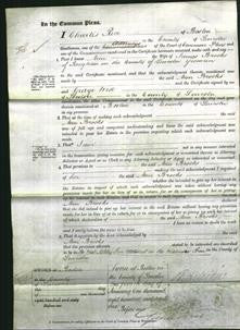 Court of Common Pleas - Ann Brooks-Original Ancestry