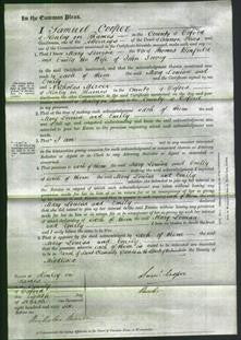 Court of Common Pleas - Mary Louisa Binfield and Emily Toovey-Original Ancestry