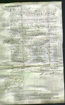 Court of Common Pleas - Anne Kearton-Original Ancestry