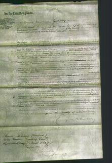 Court of Common Pleas - Martha Sidwell-Original Ancestry