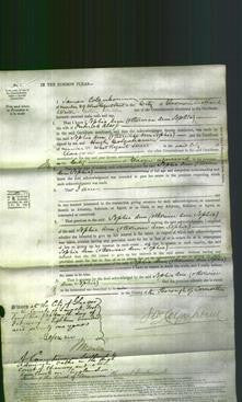 Court of Common Pleas - Sophia Ann Alsop