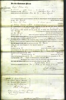 Court of Common Pleas - Ann Reynolds-Original Ancestry