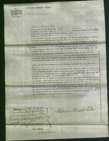 Court of Common Pleas - Martha Elmore-Original Ancestry