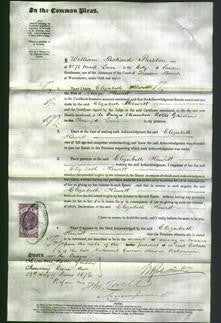 Court of Common Pleas - Elizabeth Hewitt-Original Ancestry