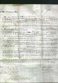 Court of Common Pleas - Ellen Pickles-Original Ancestry