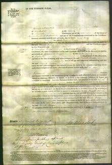 Court of Common Pleas - Sarah Dunn-Original Ancestry