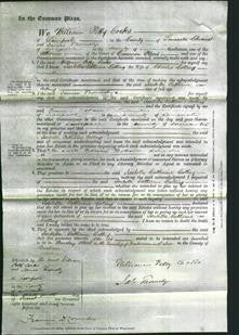 Court of Common Pleas - Isabella Catherine Colling-Original Ancestry