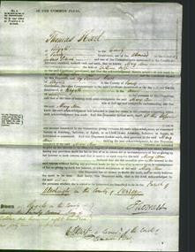 Court of Common Pleas - Mary Ann Jupp-Original Ancestry