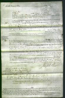 Court of Common Pleas - Mary Jane Jones-Original Ancestry