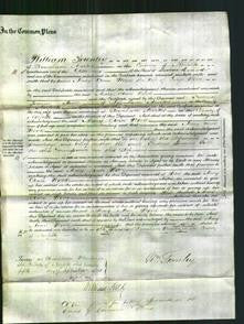 Court of Common Pleas - Mary Ann Wood-Original Ancestry