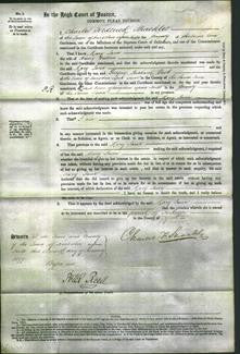 Court of Common Pleas - Mary Jane Walton-Original Ancestry