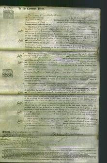 Court of Common Pleas - Charlotte Hartland, Mary Cook, Ann Shirwin, Maria Latham, Dinah Adams and Edith Beard-Original Ancestry