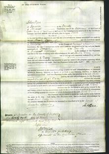 Court of Common Pleas - Sarah Davey-Original Ancestry