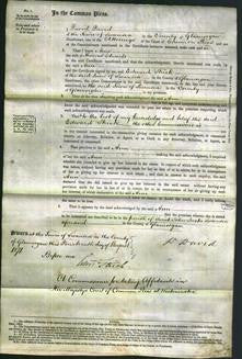 Court of Common Pleas - Ann Edwards-Original Ancestry