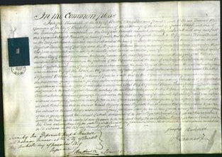 Court of Common Pleas - Elizabeth Cornish-Original Ancestry