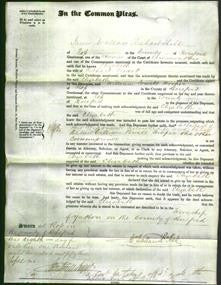 Court of Common Pleas - Elizabeth Fencott-Original Ancestry