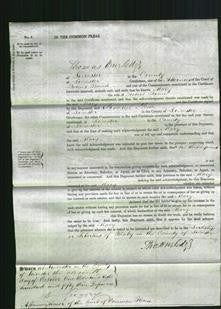 Court of Common Pleas - Mary Bruin-Original Ancestry