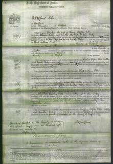 Court of Common Pleas - Caroline Clifton, Eliza Ashby and Martha Fortey-Original Ancestry