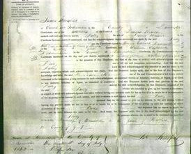 Court of Common Pleas - Sally Walker-Original Ancestry