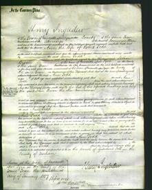 Court of Common Pleas - Ann Todd-Original Ancestry