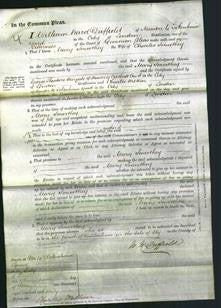 Court of Common Pleas - Mary Smoothey-Original Ancestry