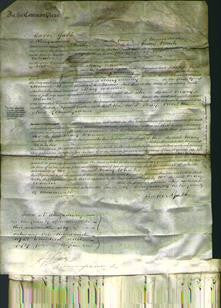 Court of Common Pleas - Mary Wheeler-Original Ancestry