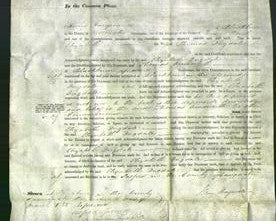 Court of Common Pleas - Elizabeth Dugdale-Original Ancestry