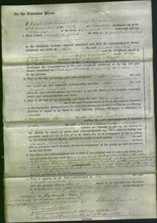 Court of Common Pleas - Sarah English-Original Ancestry