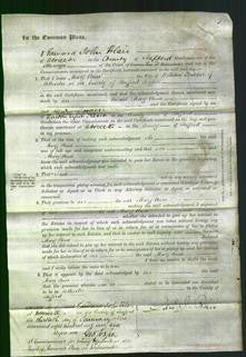 Court of Common Pleas - Mary Anne Fletcher-Original Ancestry