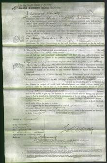 Court of Common Pleas - Mary Eleanor Woodward and Elizabeth Hall-Original Ancestry