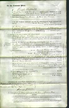 Court of Common Pleas - Hannah Maria Harrison-Original Ancestry