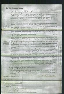 Court of Common Pleas - Mary Anderson-Original Ancestry