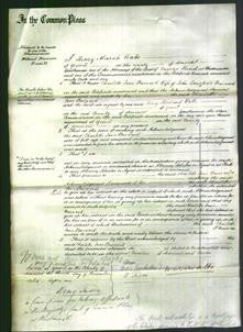 Court of Common Pleas - Charlotte Jane Burnard-Original Ancestry