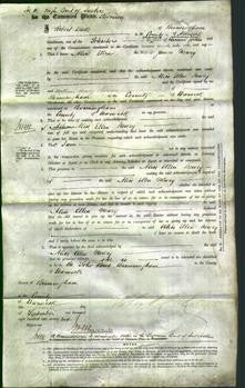 Court of Common Pleas - Alice Ellen Newey-Original Ancestry