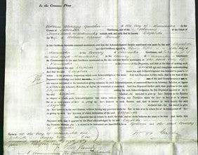 Court of Common Pleas - Elizabeth Pownall-Original Ancestry