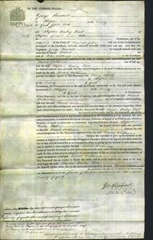 Court of Common Pleas - Harriet Wilkinson-Original Ancestry