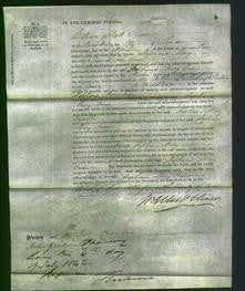 Court of Common Pleas - Stephana Mary Owen-Original Ancestry