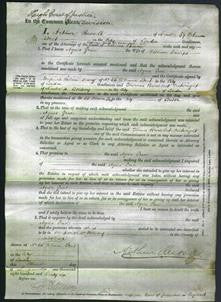 Court of Common Pleas - Agnes Grace Phillips-Original Ancestry