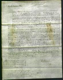 Court of Common Pleas - Ann Maria Barnard-Original Ancestry