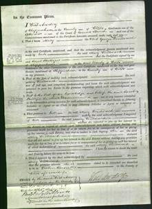 Court of Common Pleas - Mary Woodward-Original Ancestry
