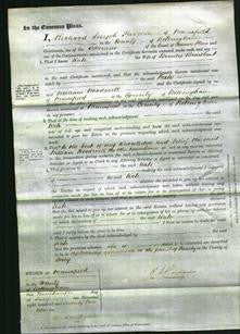Court of Common Pleas - Kate Broadbent-Original Ancestry