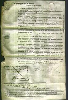 Court of Common Pleas - Marianne Burdock-Original Ancestry