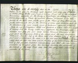 Deed by Married Women - Ann Kidd-Original Ancestry