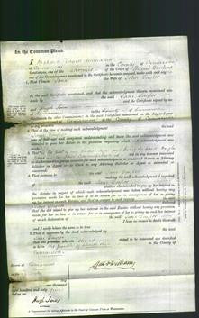 Court of Common Pleas - Jane Taylor-Original Ancestry