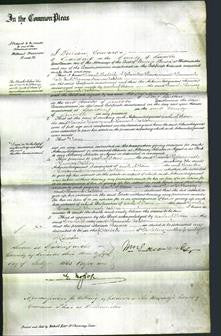 Court of Common Pleas- Sarah Harvey and Hannah Ashton-Original Ancestry