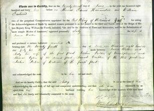 Deed by Married Women - Sally Walker-Original Ancestry
