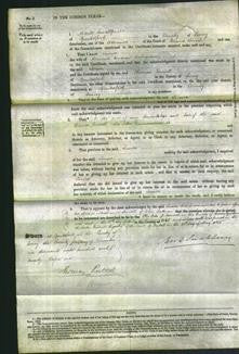 Court of Common Pleas - Louisa Richardson-Original Ancestry
