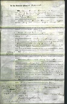 Court of Common Pleas - Mary Ann Atkin-Original Ancestry